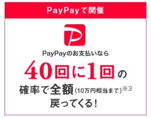 PayPay100億円あげちゃうキャンペーン